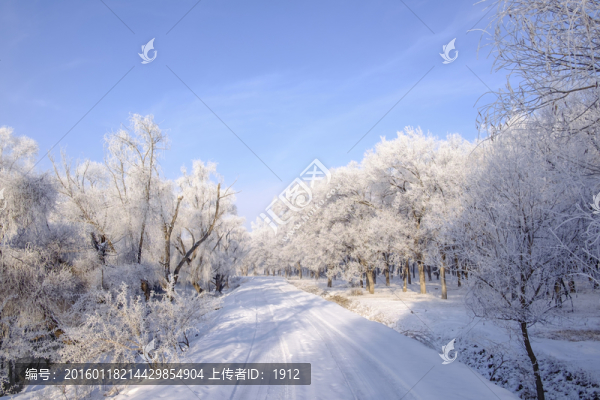 林中小路