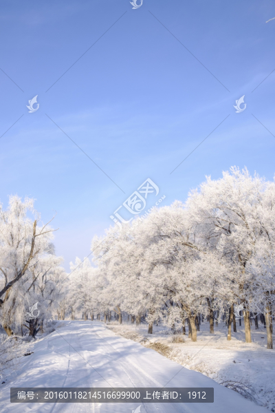 雪景