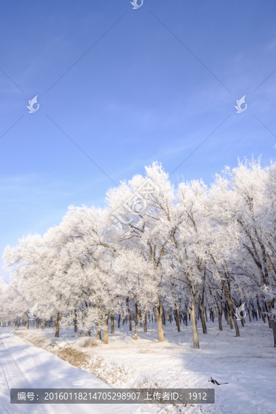 樹林