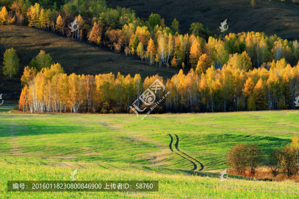 林間農(nóng)田秋色
