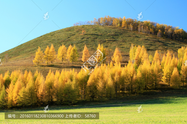 山林秋景