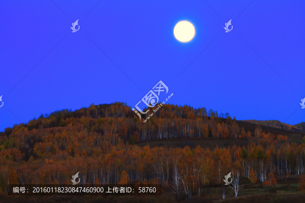 月光下的山林
