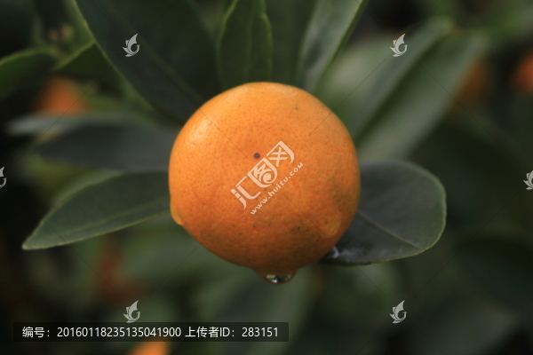 1個桔子