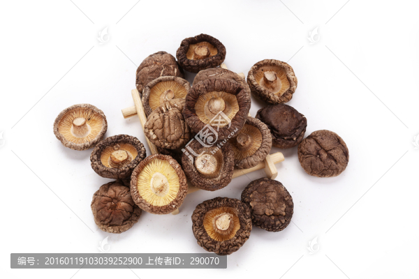 香菇
