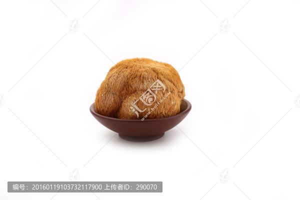 猴頭菇