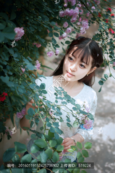 薔薇花與少女