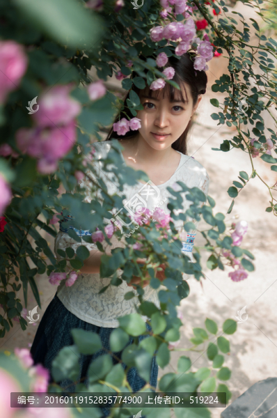 薔薇花與少女