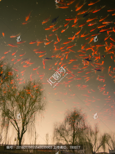 水中樹木倒影,魚在天上飛