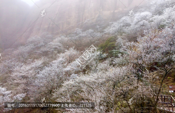 黃山雪景