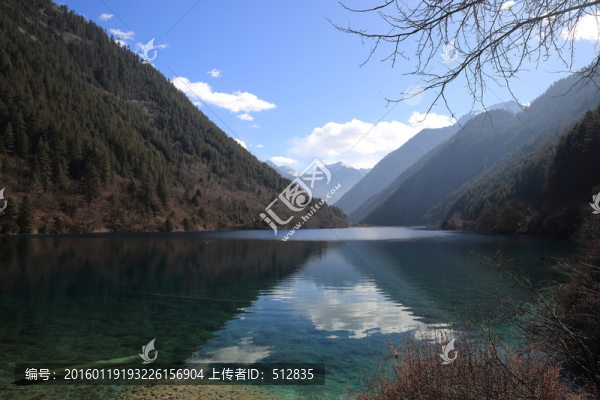 犀牛海