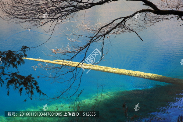 犀牛海