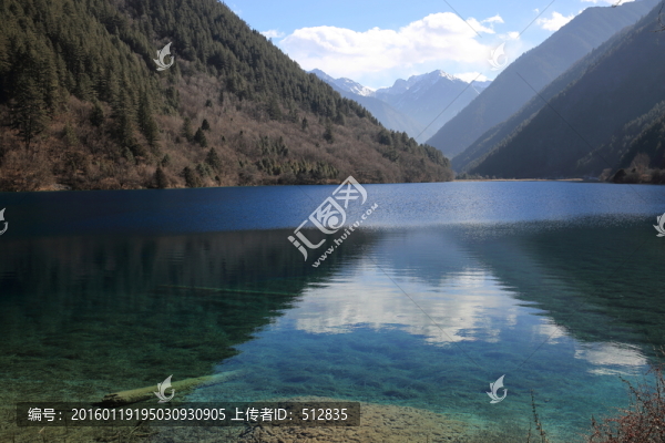 犀牛海
