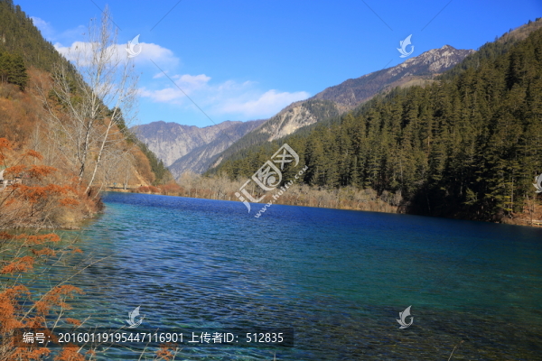 犀牛海