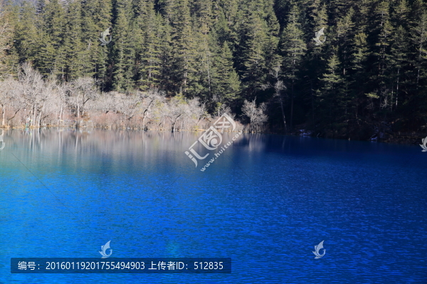 犀牛海