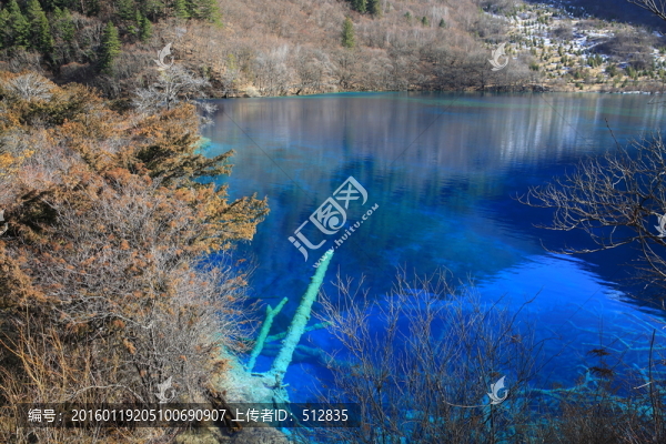 樹正群海