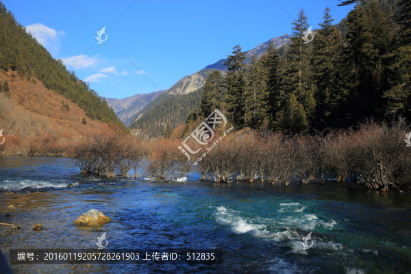 樹正群海