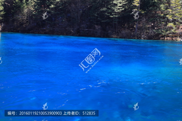 樹正群海