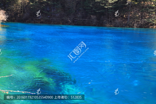 犀牛海