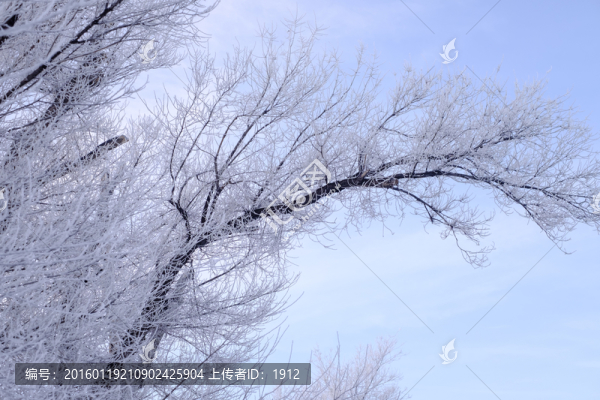 霧淞