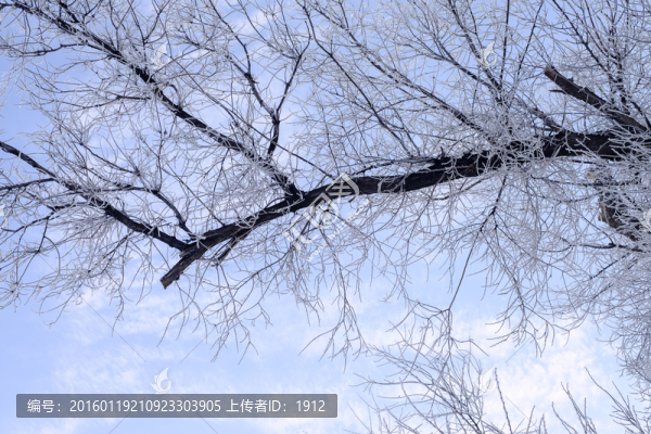 霧淞