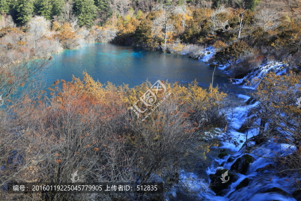 樹正群海