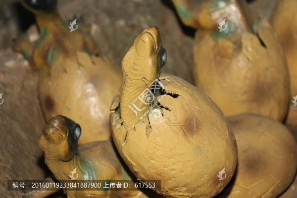 恐龍蛋孵化
