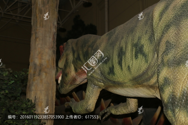 恐龍標(biāo)本