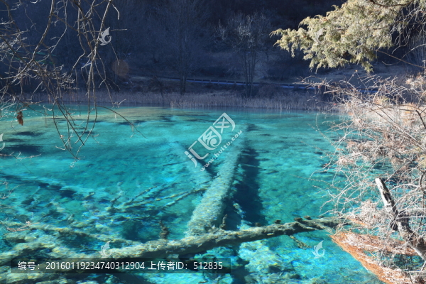 樹正群海