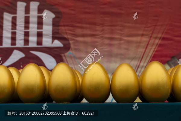金蛋