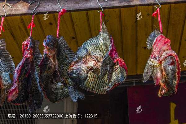 閬中,魚干
