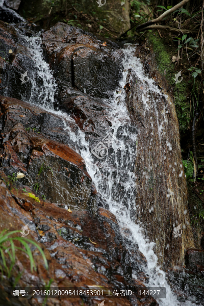 山澗溪水