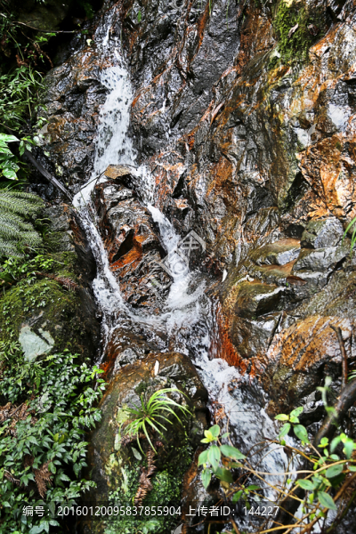 山澗溪流