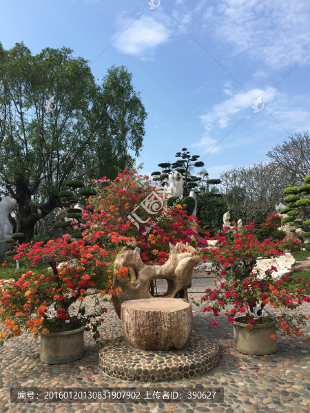 泰國園藝