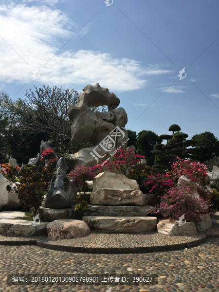 泰國(guó)園藝