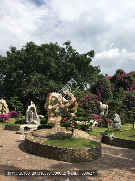 泰國園藝