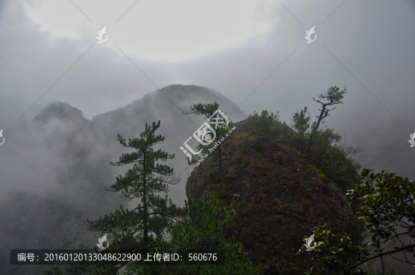 神仙居