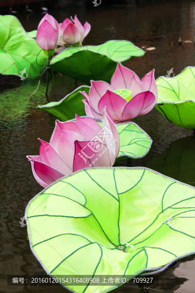 荷花,工藝品,景觀,公園,荷葉