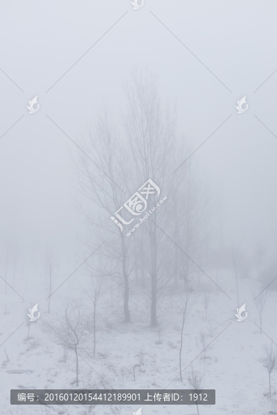 迷霧