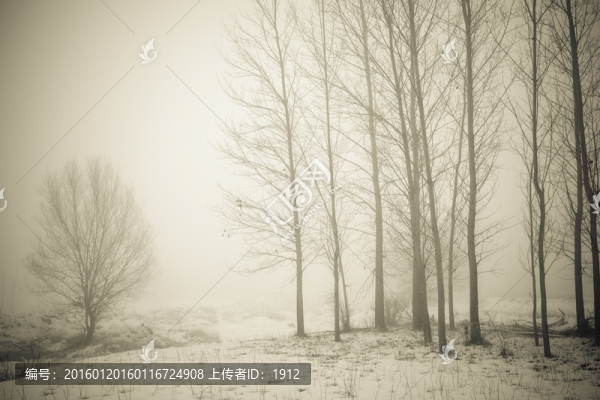 迷霧