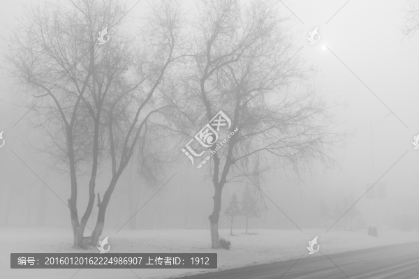 冬雪