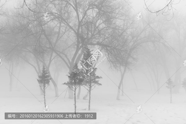 冬雪