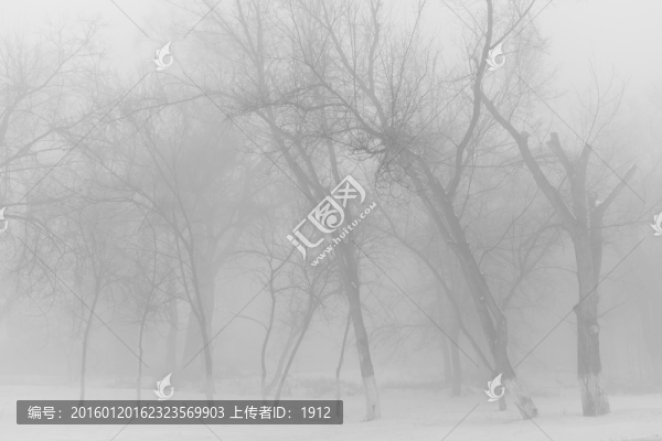 冬雪