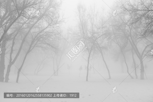 霧林