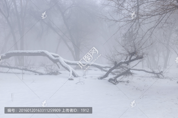 迷霧