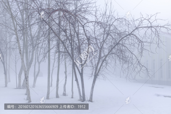 樹林