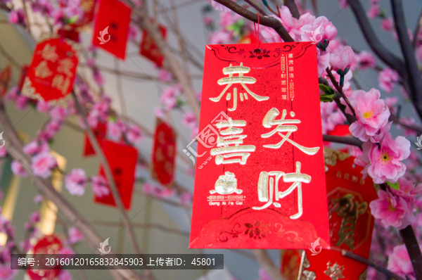 恭喜發(fā)財(cái)