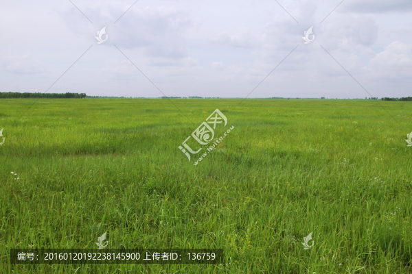 草地素材