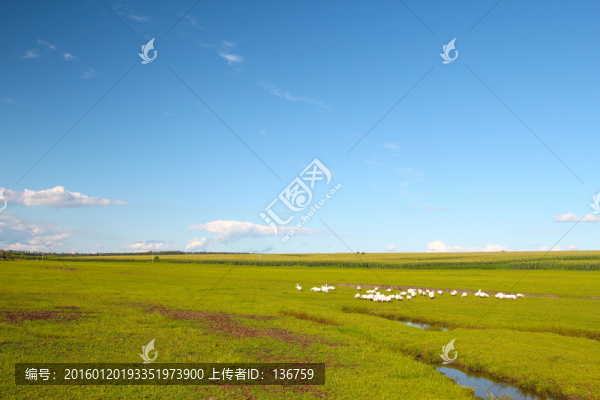 田園風(fēng)光