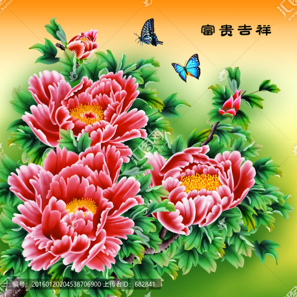 牡丹,富貴吉祥