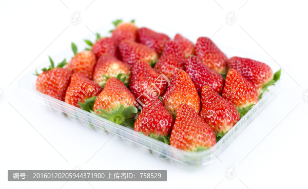 草莓